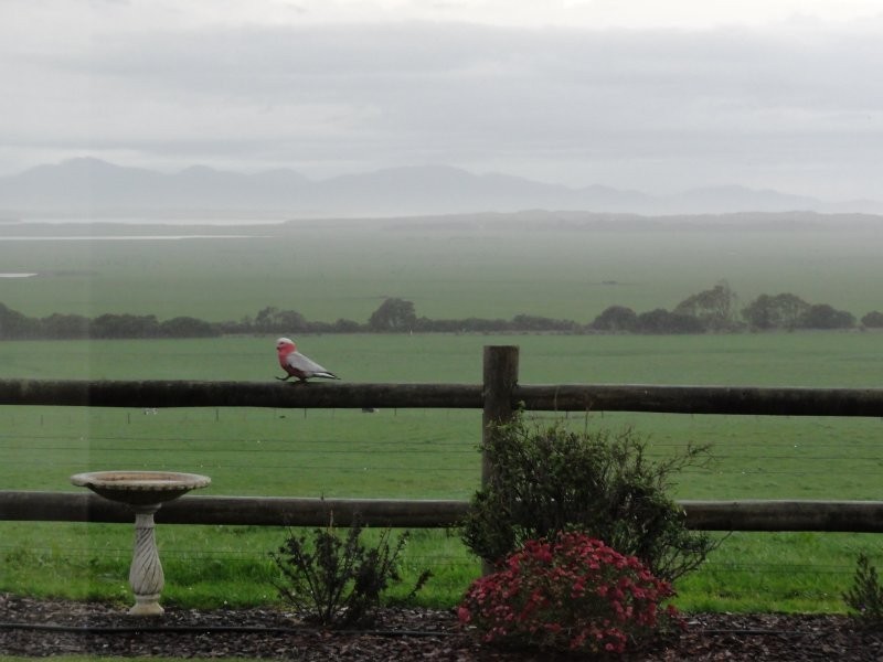 Waratah North VIC 3959