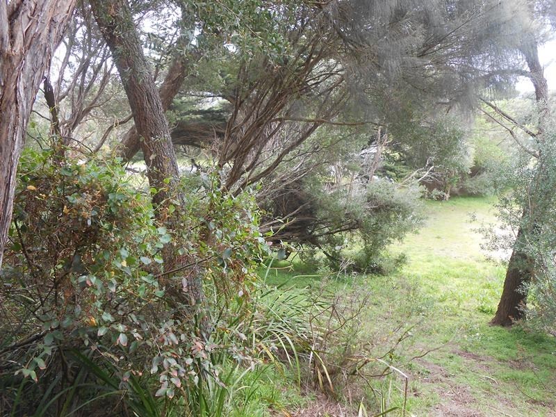 36 Ennisvale Avenue, Sandy Point VIC 3959