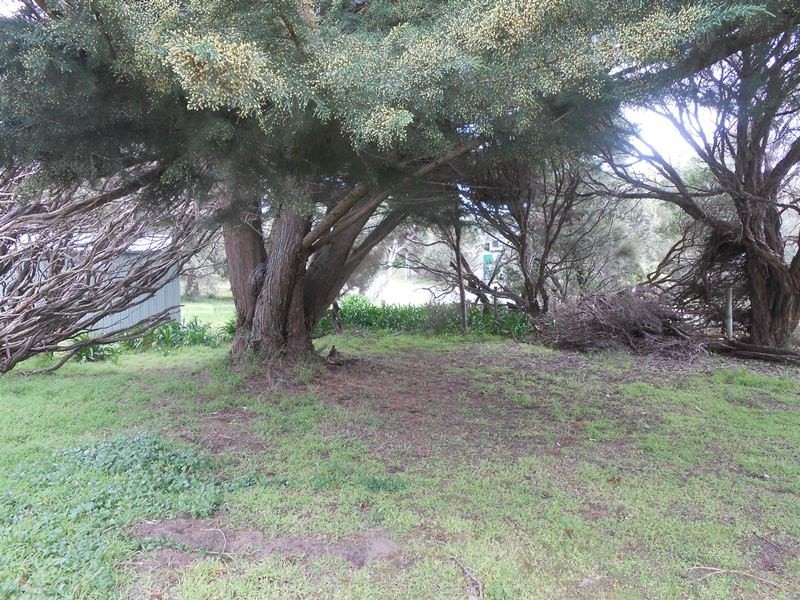 36 Ennisvale Avenue, Sandy Point VIC 3959