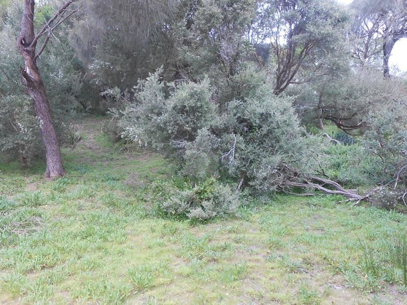 36 Ennisvale Avenue, Sandy Point VIC 3959