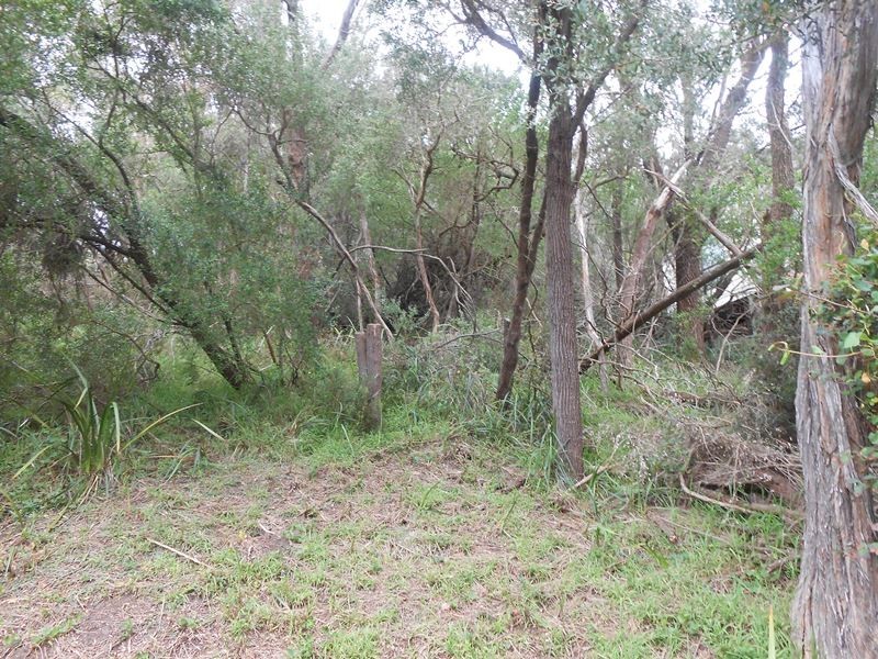 36 Ennisvale Avenue, Sandy Point VIC 3959