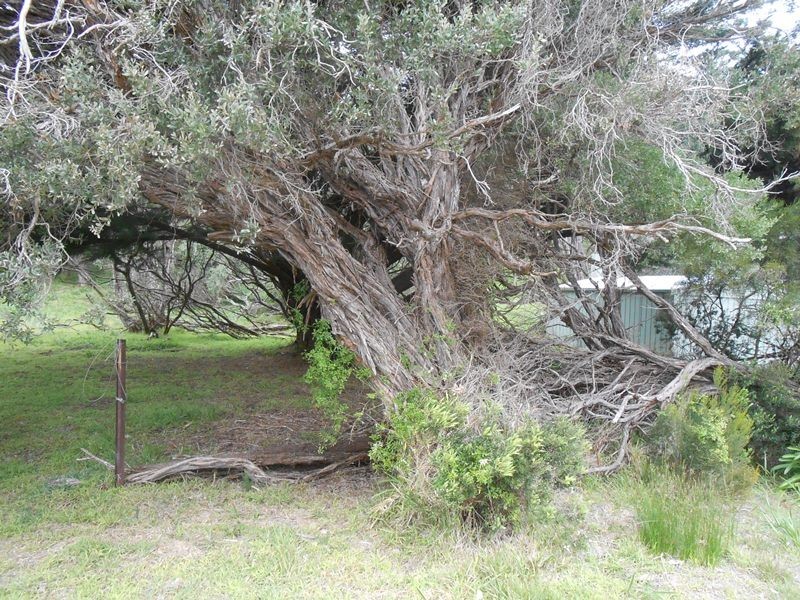 36 Ennisvale Avenue, Sandy Point VIC 3959