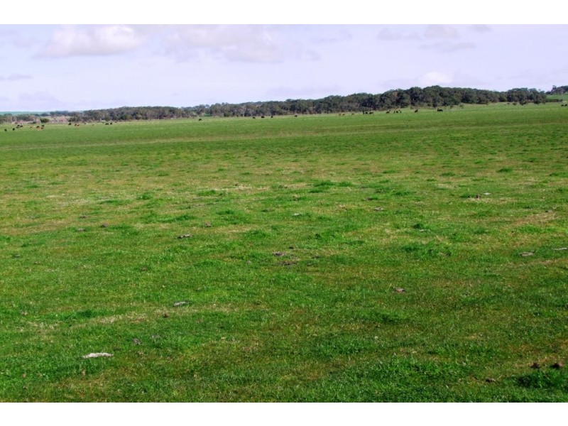 Tarwin Lower VIC 3956