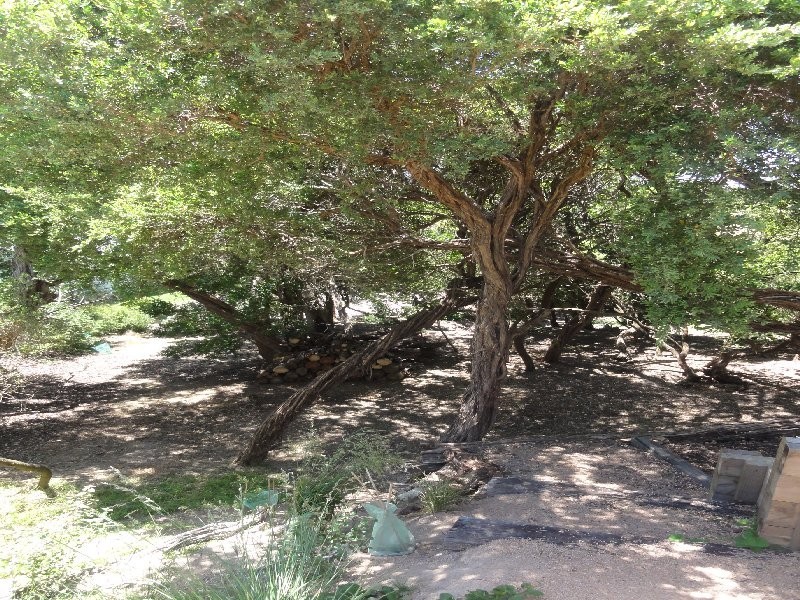 73 Harbour View, Sandy Point VIC 3959