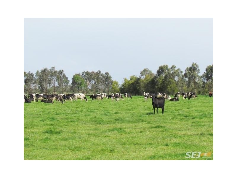 820 Longwarry – Modella Road, Modella VIC 3816