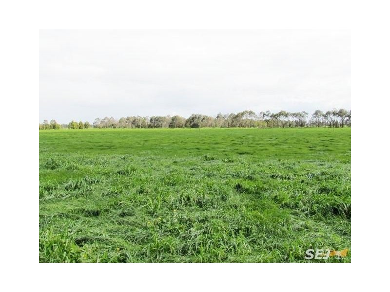 820 Longwarry – Modella Road, Modella VIC 3816