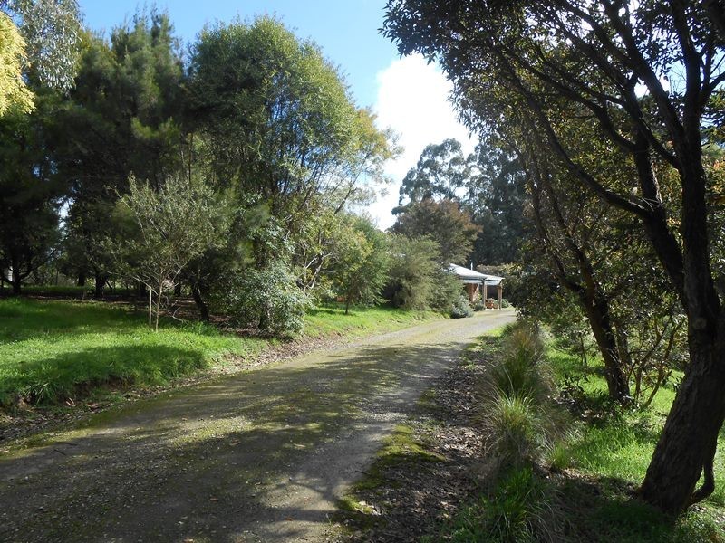 165 Nippards Track, Foster VIC 3960