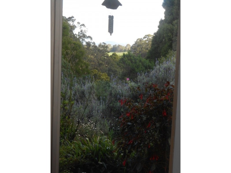 165 Nippards Track, Foster VIC 3960