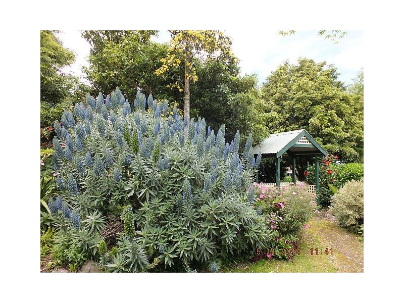 4380 South Gippsland Highway, Foster VIC 3960