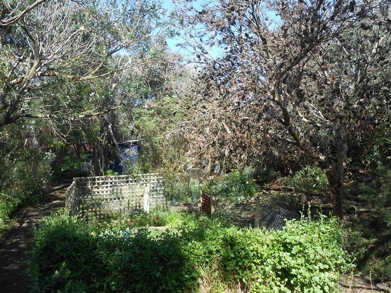 54 Sunshine Rise, Sandy Point VIC 3959