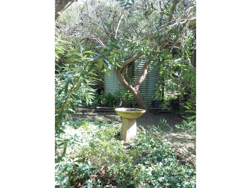 54 Sunshine Rise, Sandy Point VIC 3959