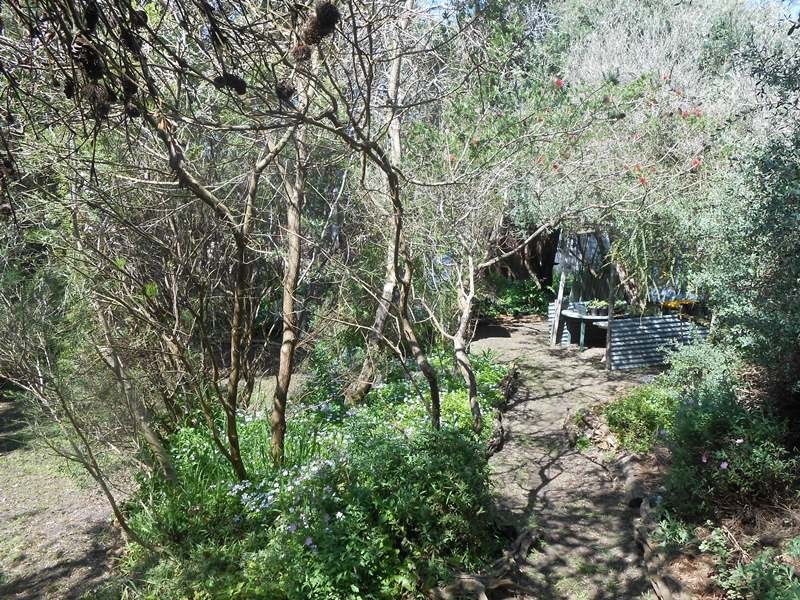54 Sunshine Rise, Sandy Point VIC 3959
