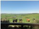 Buffalo VIC 3958
