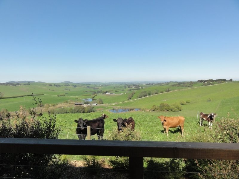 Buffalo VIC 3958