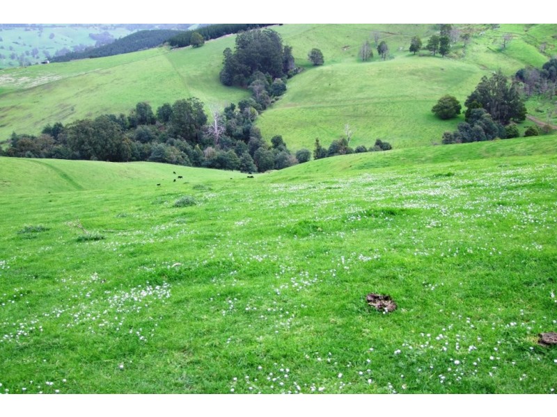 Allambee South VIC 3871