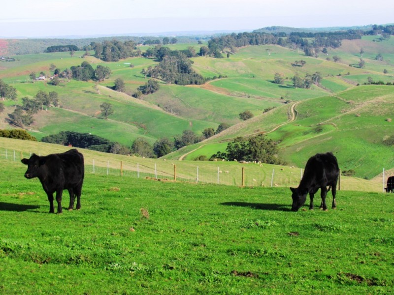 Allambee South VIC 3871