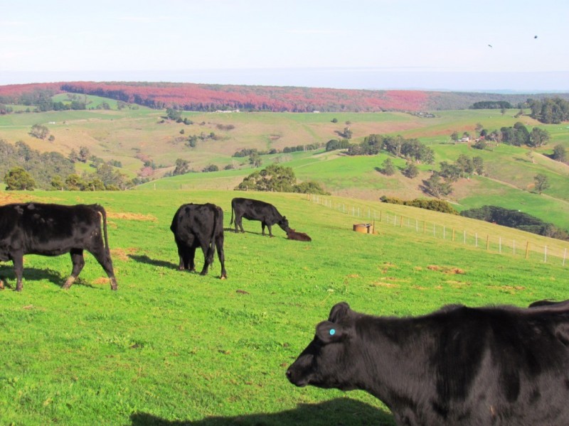 Allambee South VIC 3871