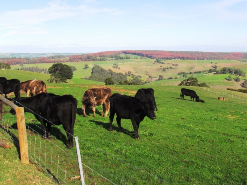 Allambee South VIC 3871