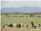 270 Millar Road, Yanakie VIC 3960