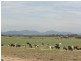270 Millar Road, Yanakie VIC 3960