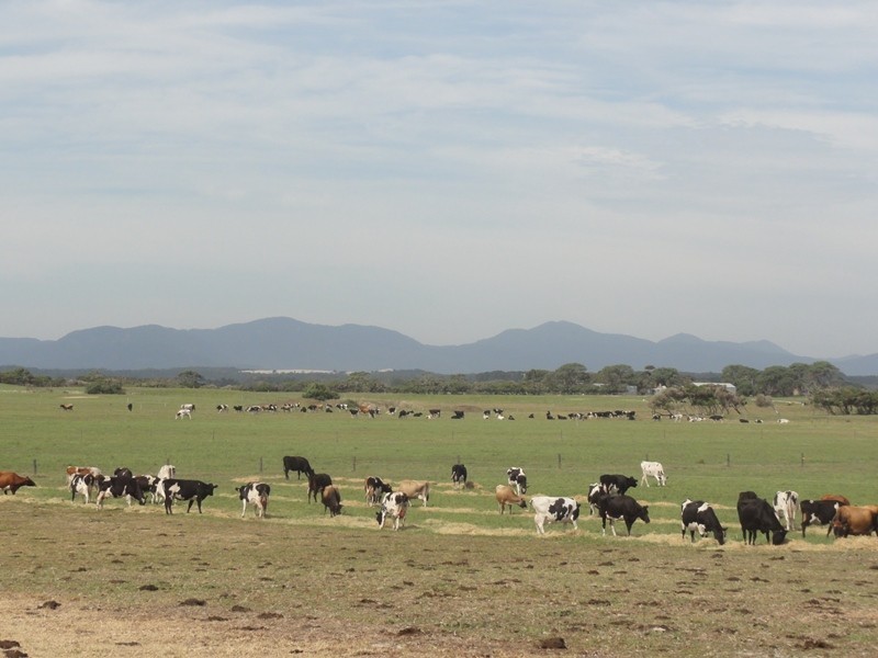 270 Millar Road, Yanakie VIC 3960