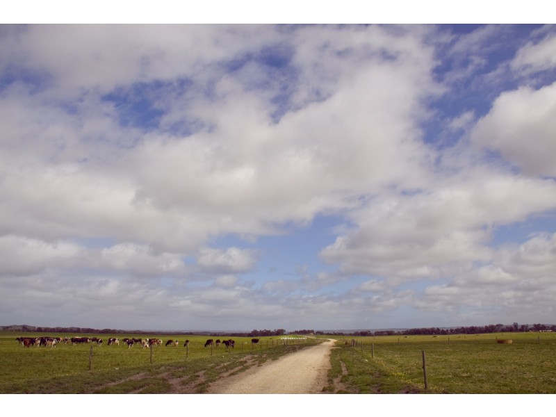 270 Millar Road, Yanakie VIC 3960