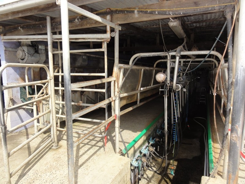 270 Millar Road, Yanakie VIC 3960
