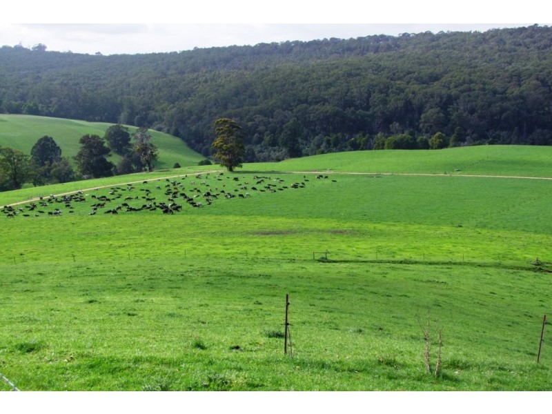 80 Pitt Rd, Hallston VIC 3953