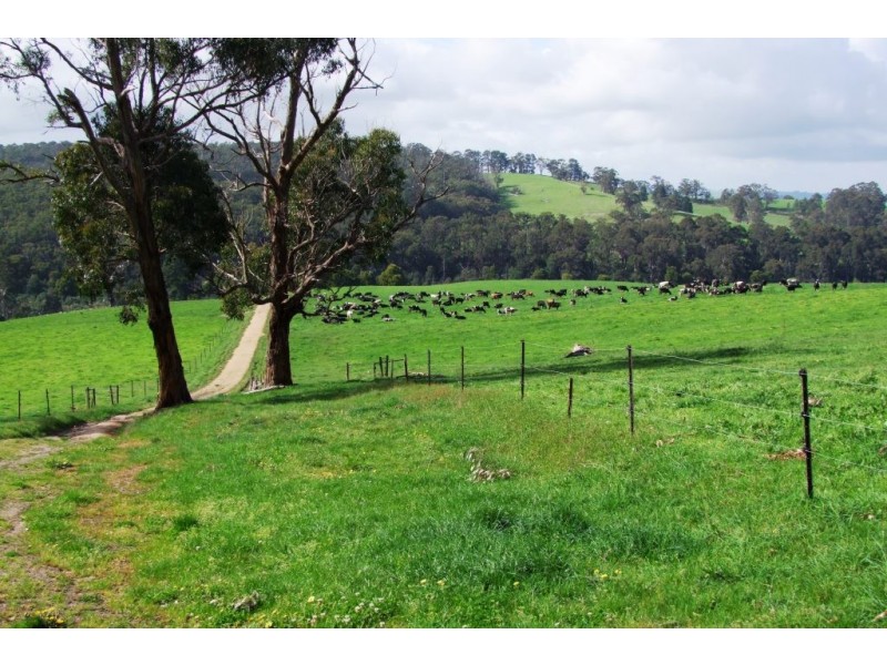 80 Pitt Rd, Hallston VIC 3953