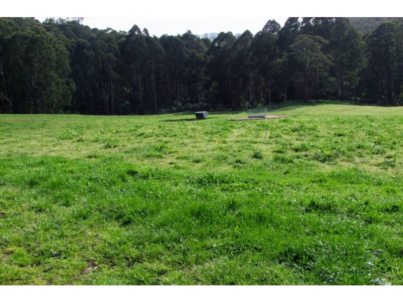 80 Pitt Rd, Hallston VIC 3953