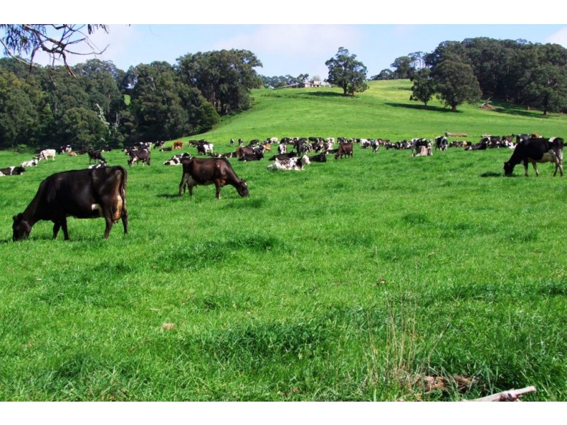 80 Pitt Rd, Hallston VIC 3953