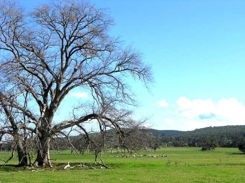 Devon North VIC 3971