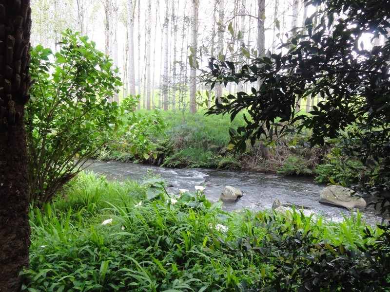 1049 Tarra Valley Rd, Tarra Valley VIC 3971