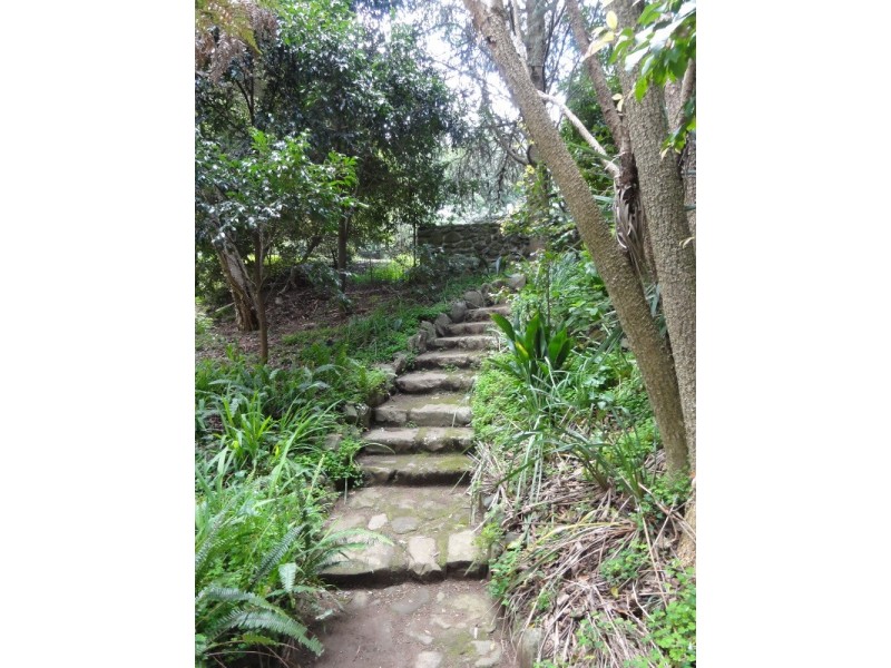 1049 Tarra Valley Rd, Tarra Valley VIC 3971