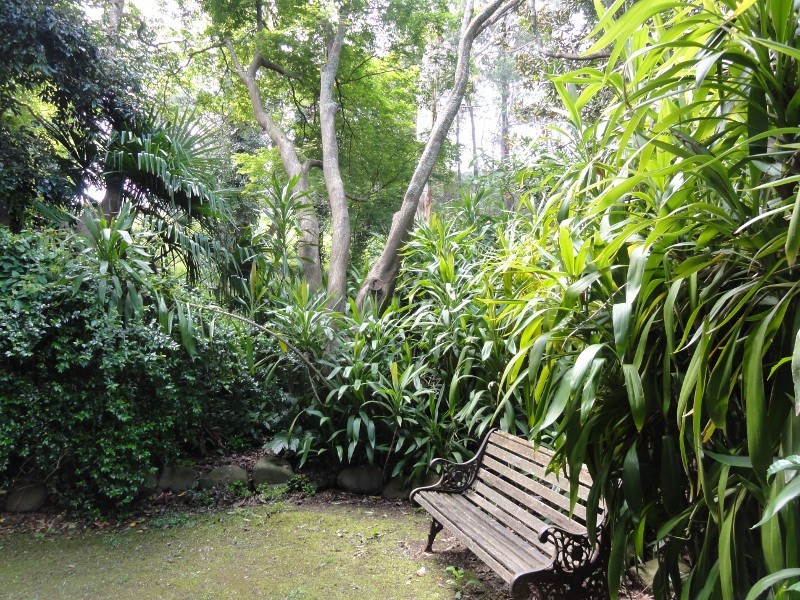 1049 Tarra Valley Rd, Tarra Valley VIC 3971