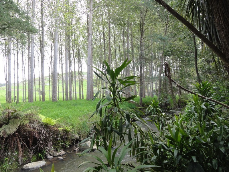 1049 Tarra Valley Rd, Tarra Valley VIC 3971