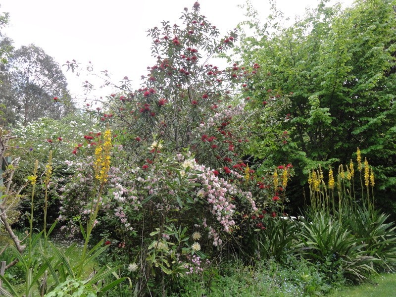 1049 Tarra Valley Rd, Tarra Valley VIC 3971