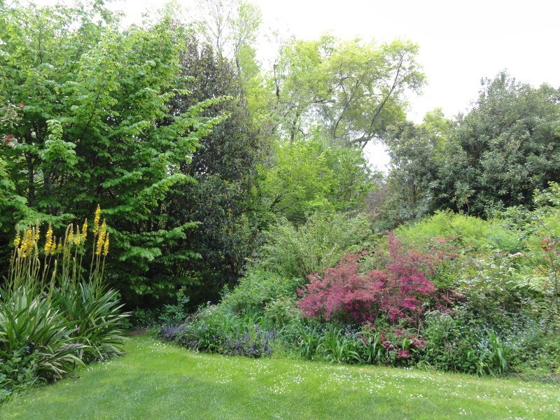 1049 Tarra Valley Rd, Tarra Valley VIC 3971