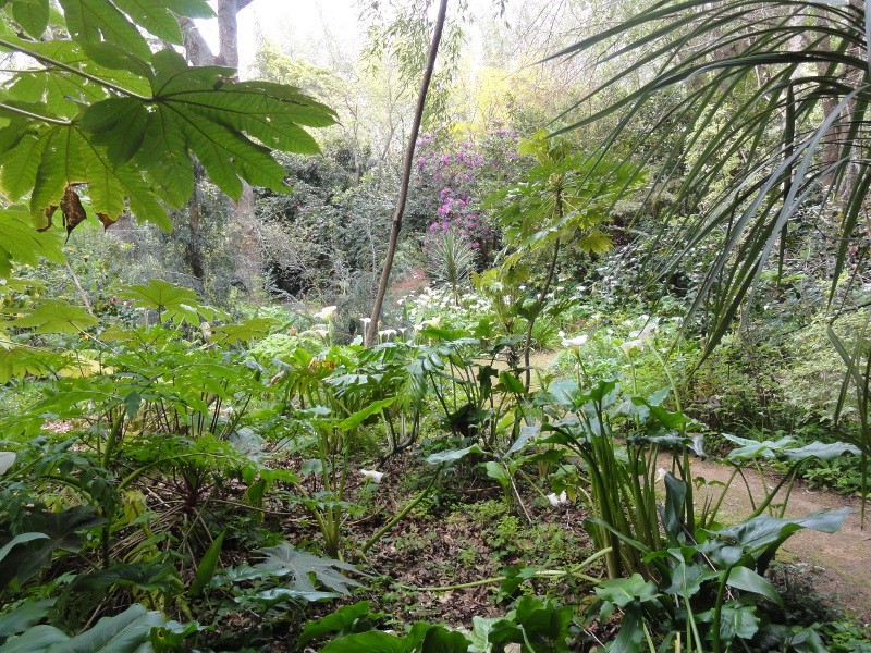 1049 Tarra Valley Rd, Tarra Valley VIC 3971