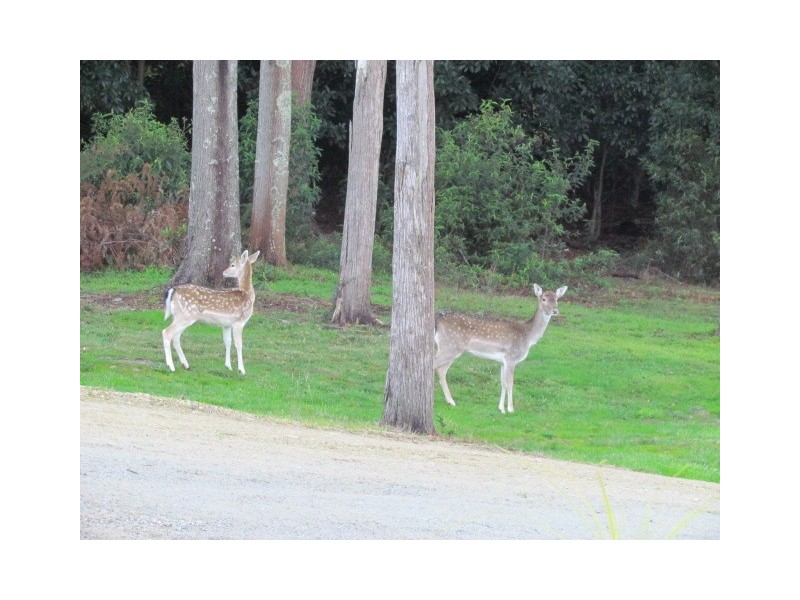 2 Hobsons Road, Foster VIC 3960