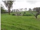 90 Boys Rd, Fish Creek VIC 3959
