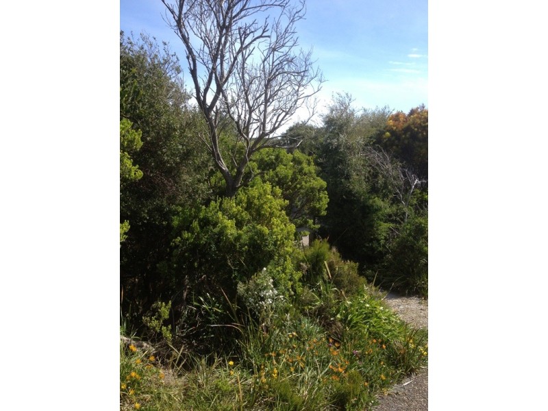 Sandy Point VIC 3959