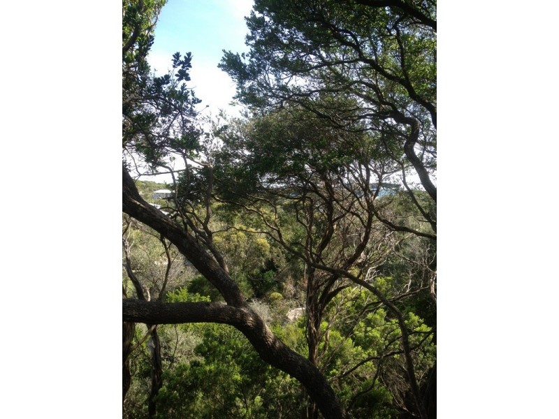 Sandy Point VIC 3959