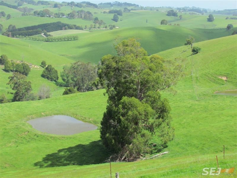 295 Mountain View – McDonalds track, Mountain View VIC 3988