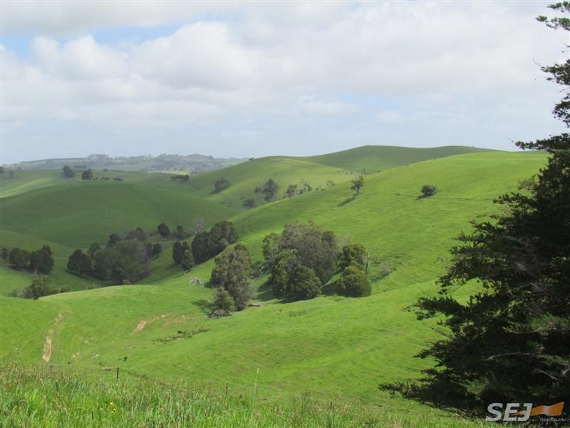 295 Mountain View – McDonalds track, Mountain View VIC 3988