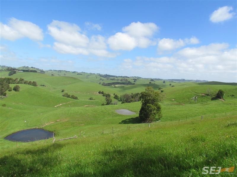 295 Mountain View – McDonalds track, Mountain View VIC 3988