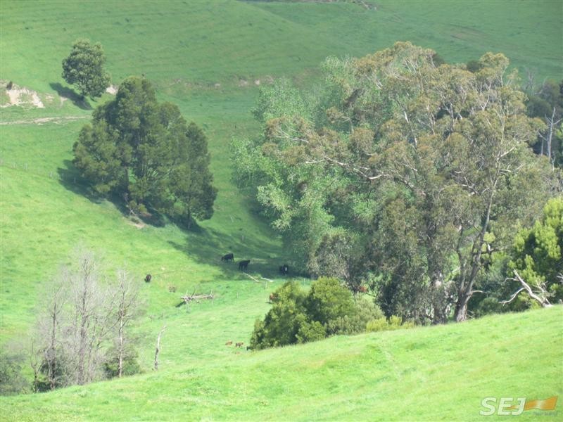 295 Mountain View – McDonalds track, Mountain View VIC 3988