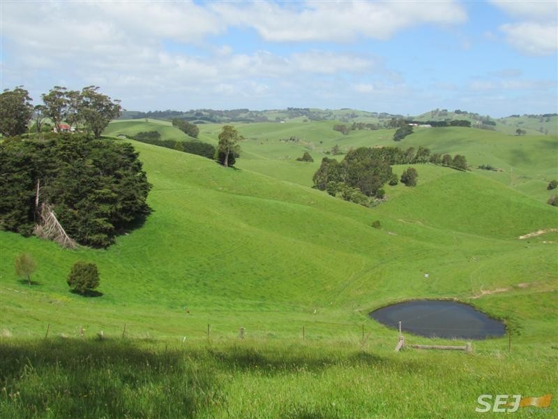 295 Mountain View – McDonalds track, Mountain View VIC 3988