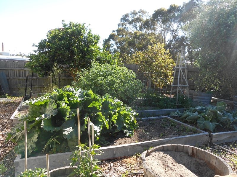 34 Welshpool Road, Toora VIC 3962