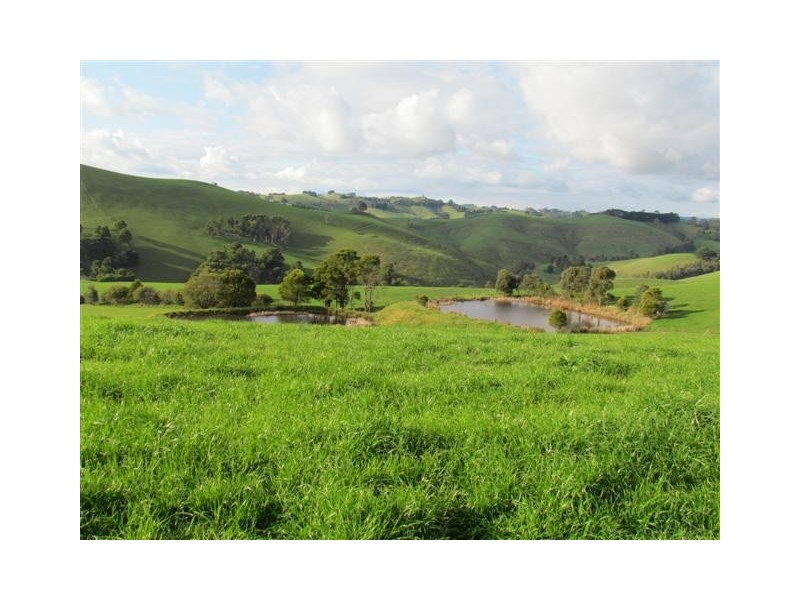 Lot 2 / 135 Waterfall Road, Poowong East VIC 3988